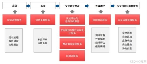 网络与信息安全软件开发